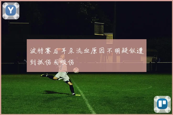 波特赛后耳朵流血原因不明疑似遭到抓伤或咬伤